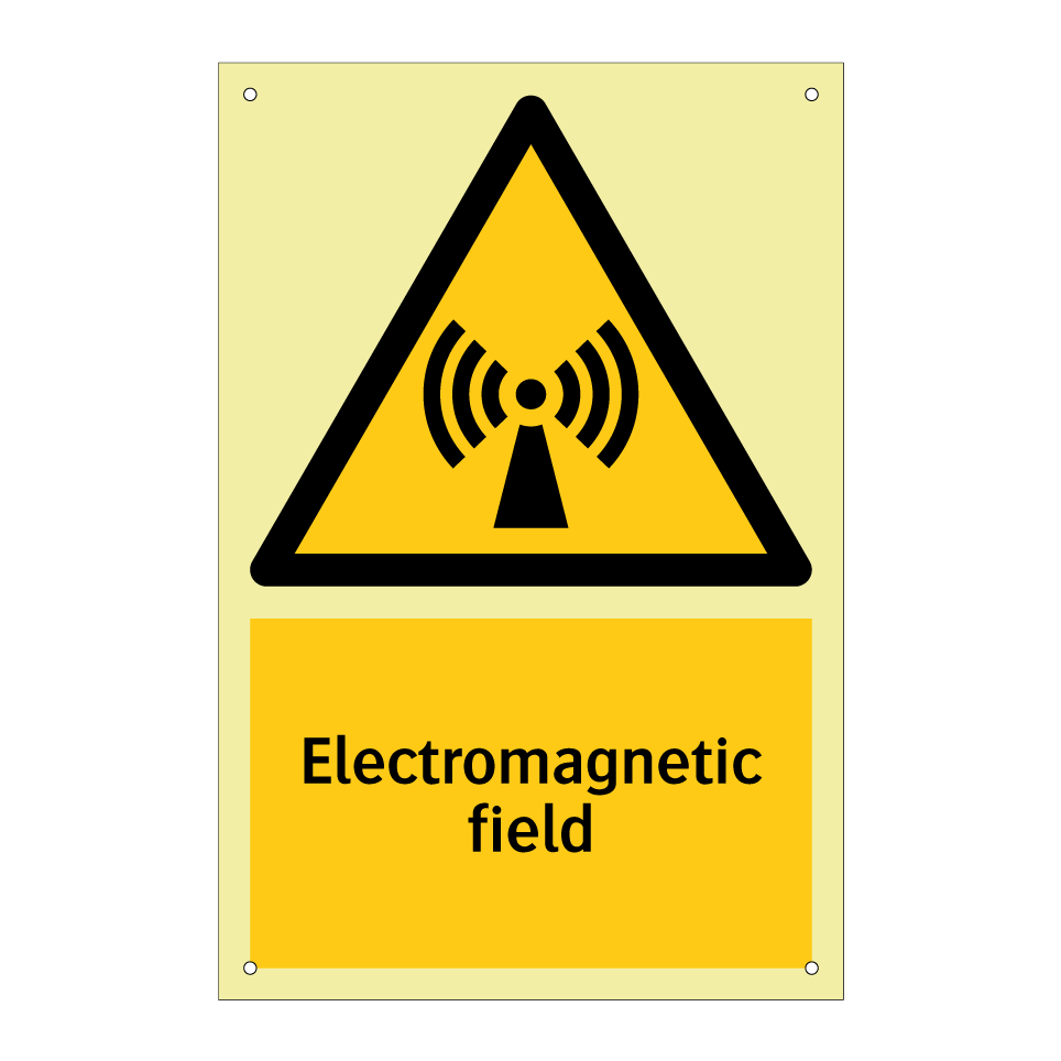 Electromagnetic field