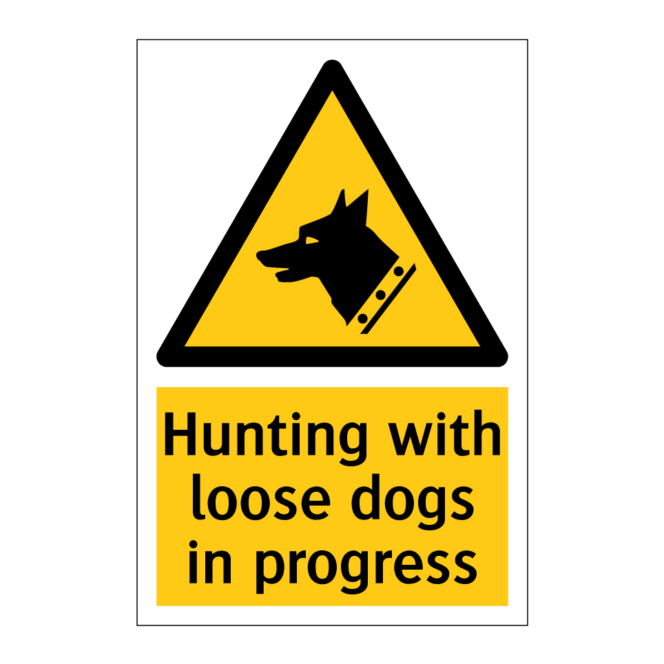 Hunting with loose dogs in progress