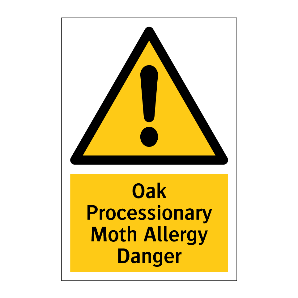Oak Processionary Moth Allergy Danger