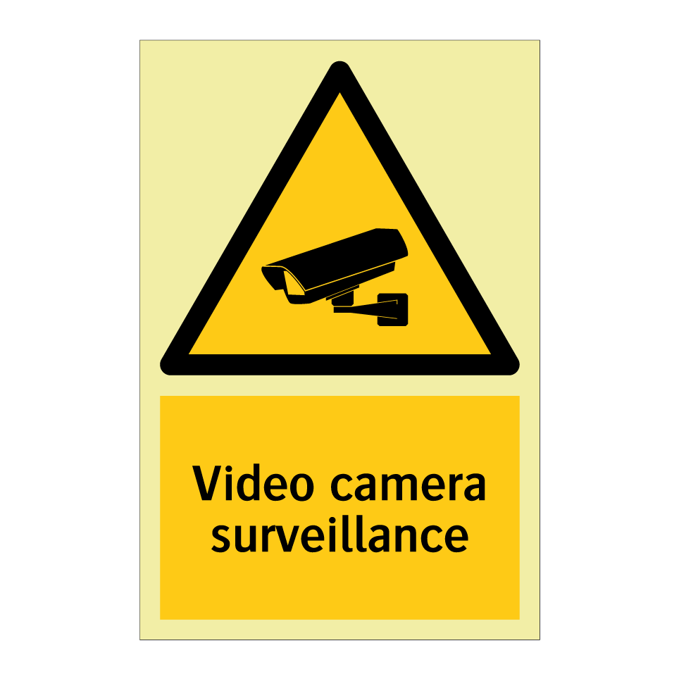 Video camera surveillance