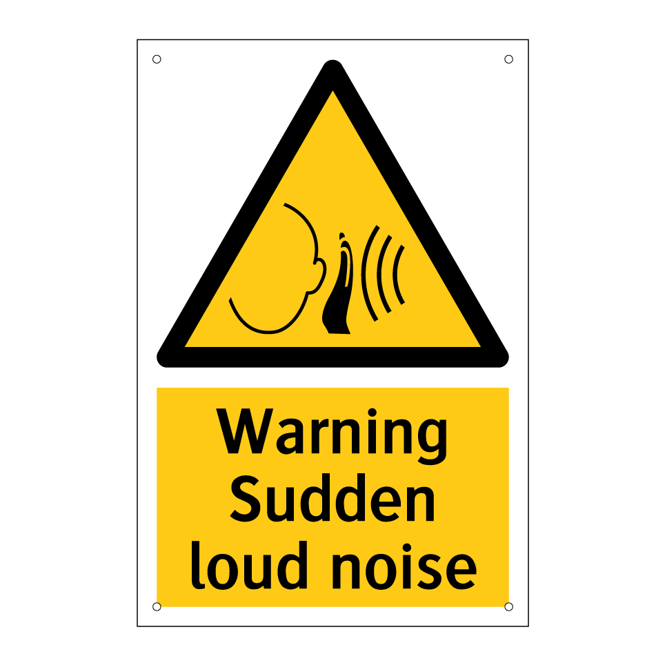 Warning Sudden loud noise