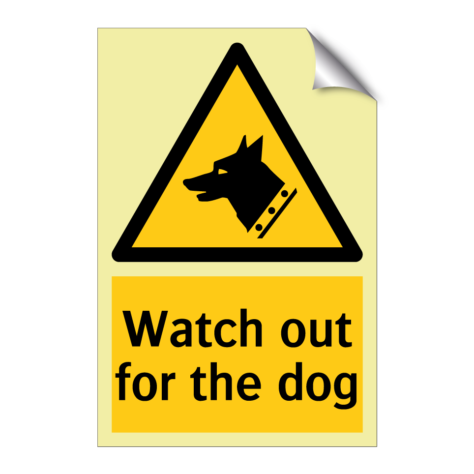 Watch out for the dog
