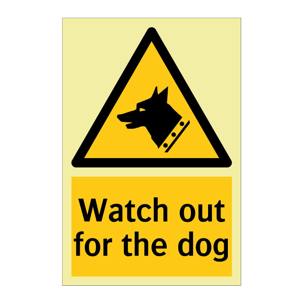 Watch out for the dog