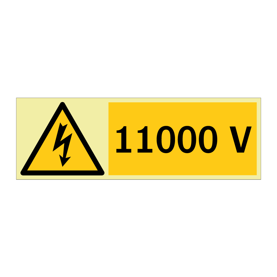 11000 V