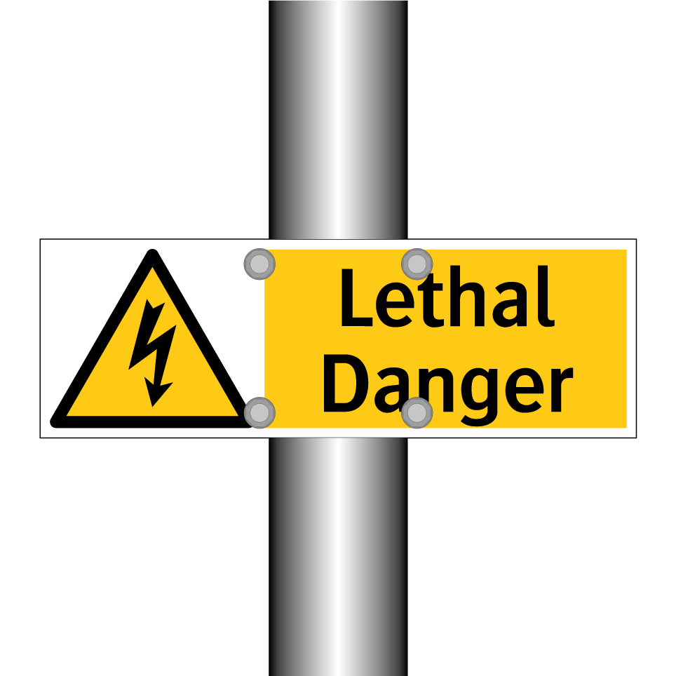 Lethal Danger