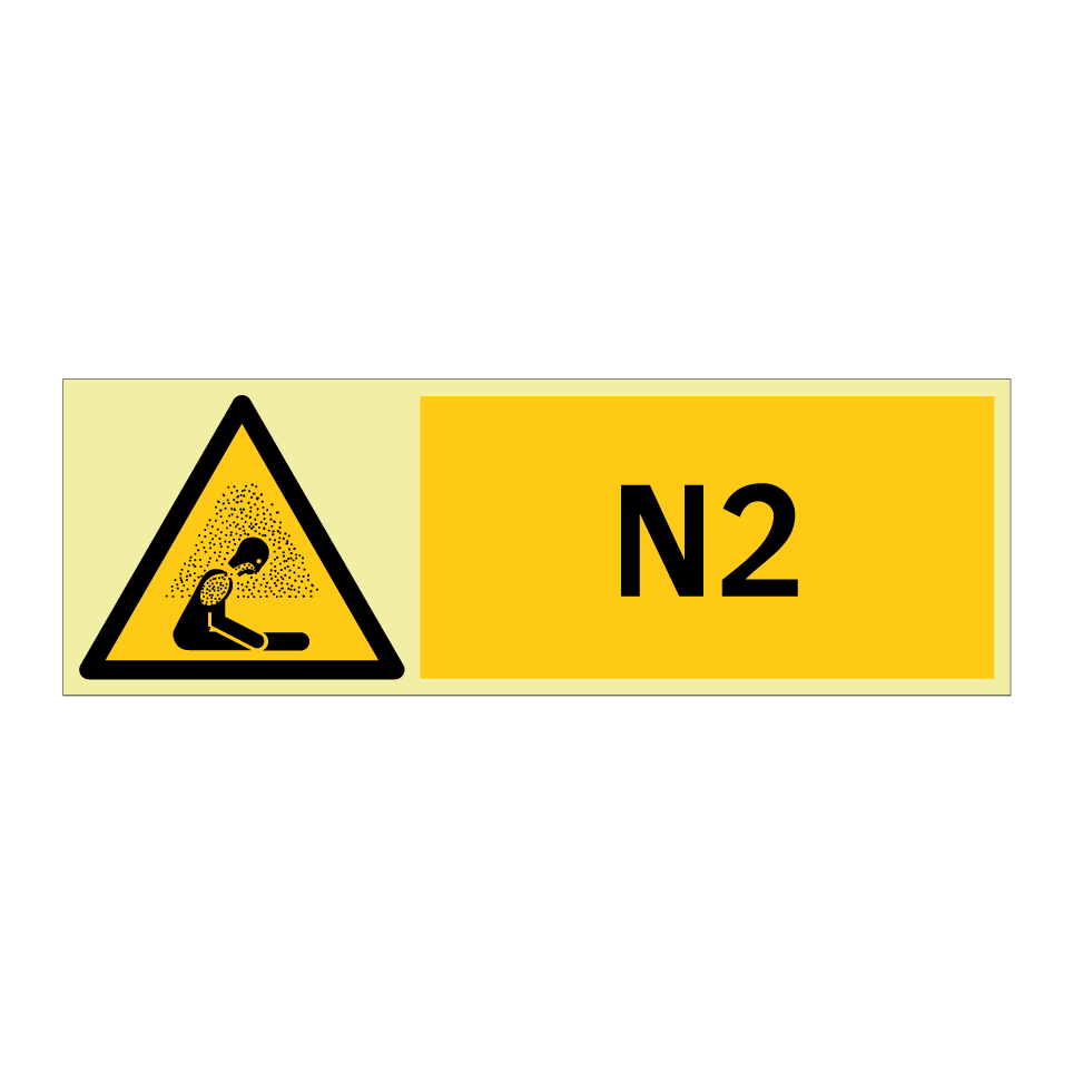 N2