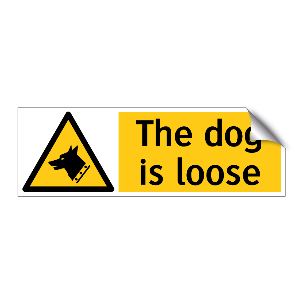 The dog is loose