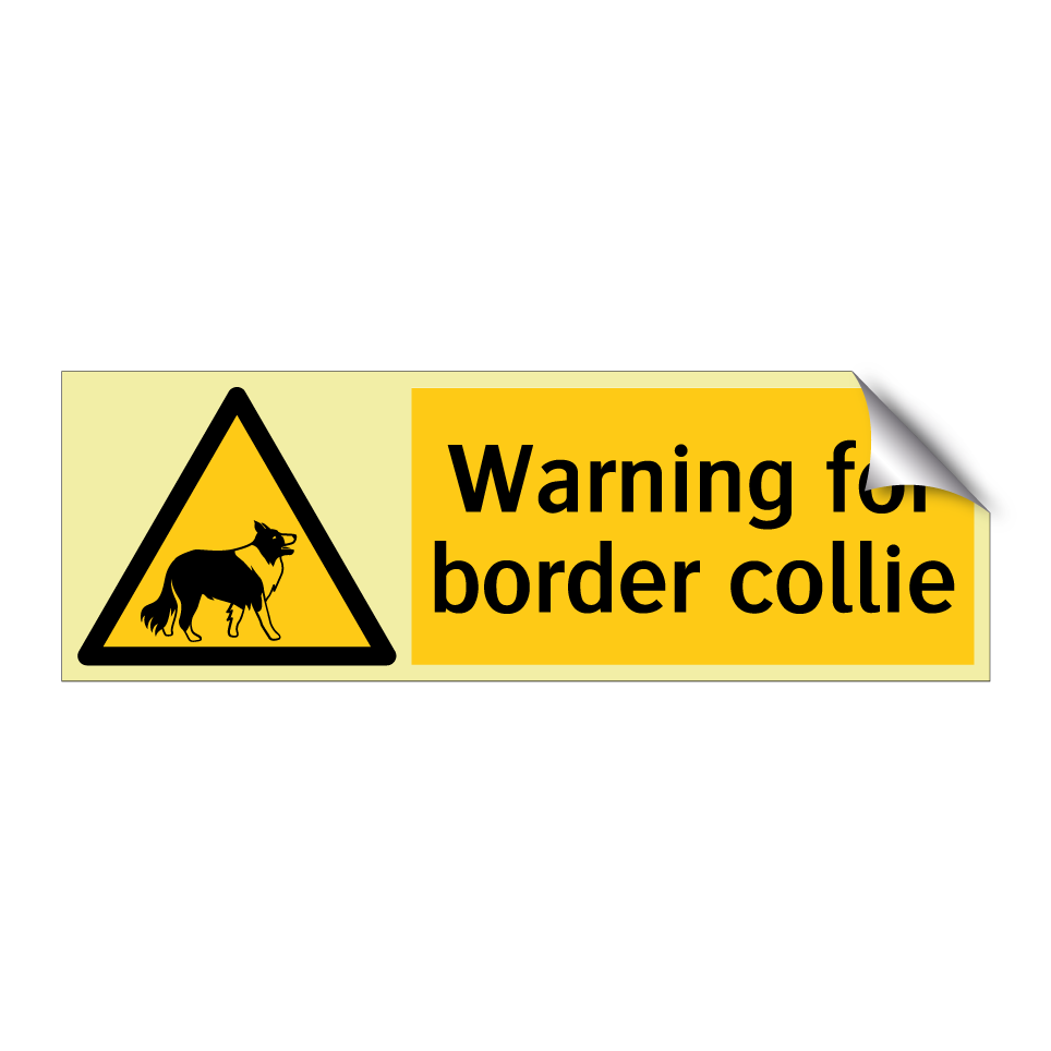 Warning for border collie