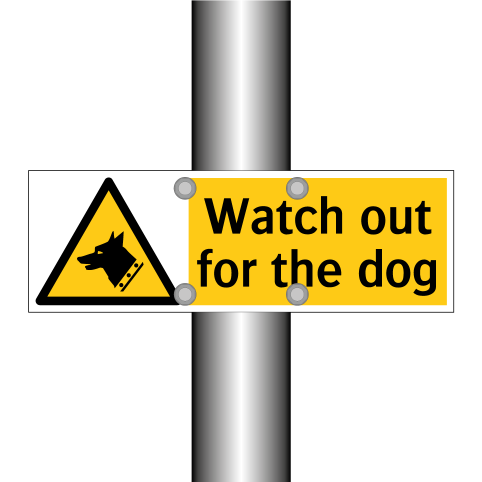 Watch out for the dog