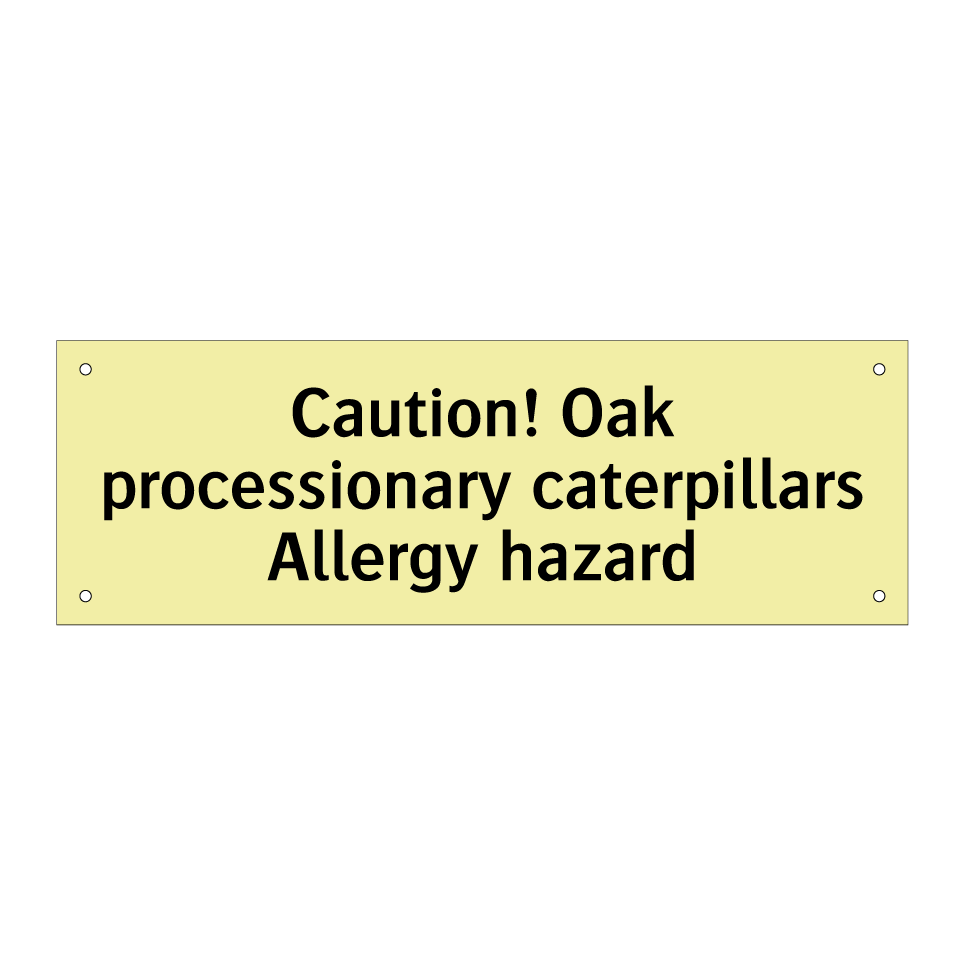Caution! Oak processionary caterpillars Allergy hazard