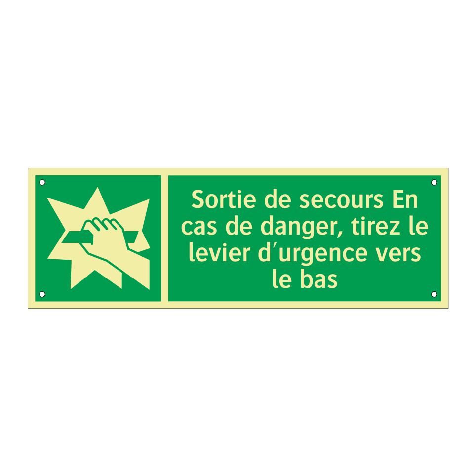 Sortie de secours En cas de danger, tirez le levier d'urgence vers le bas