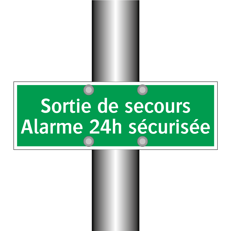 Sortie de secours Alarme 24h sécurisée