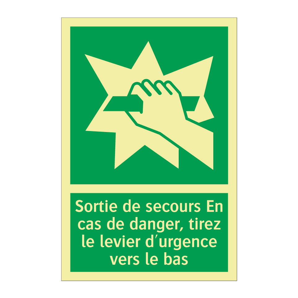 Sortie de secours En cas de danger, tirez le levier d'urgence vers le bas