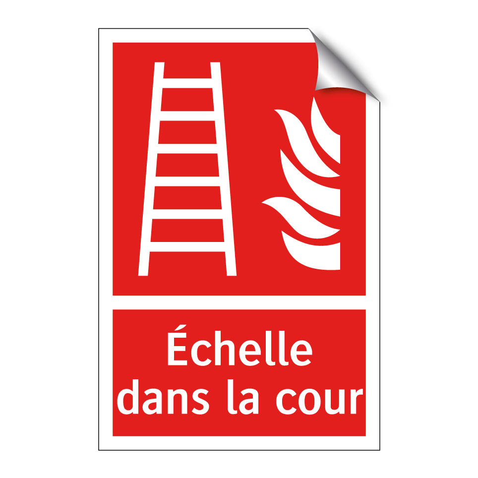 Échelle dans la cour