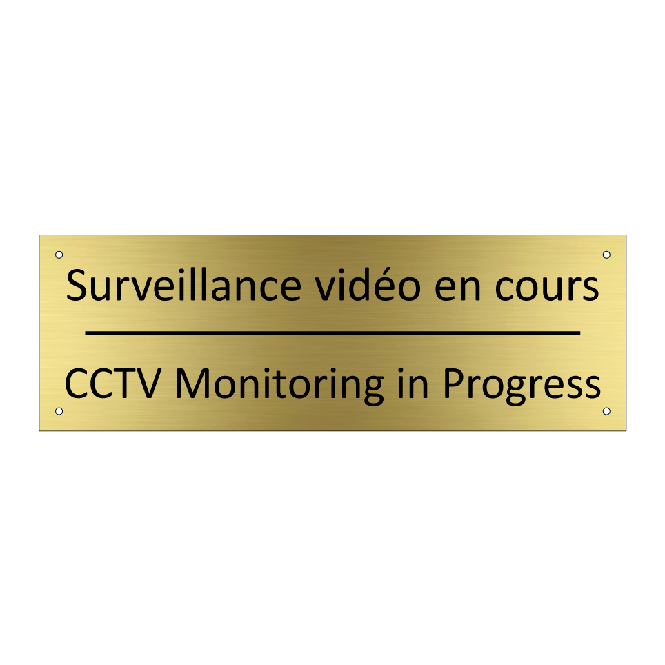Surveillance vidéo en cours - CCTV Monitoring in Progress