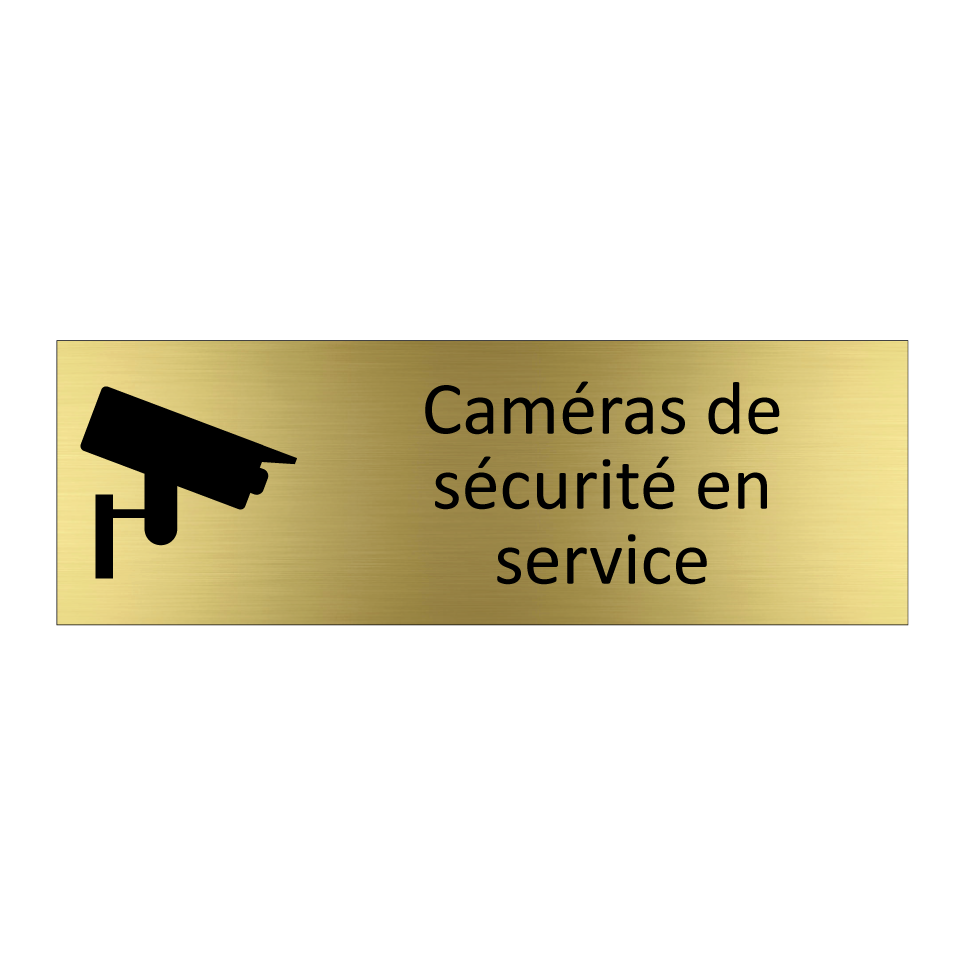 Caméras de sécurité en service