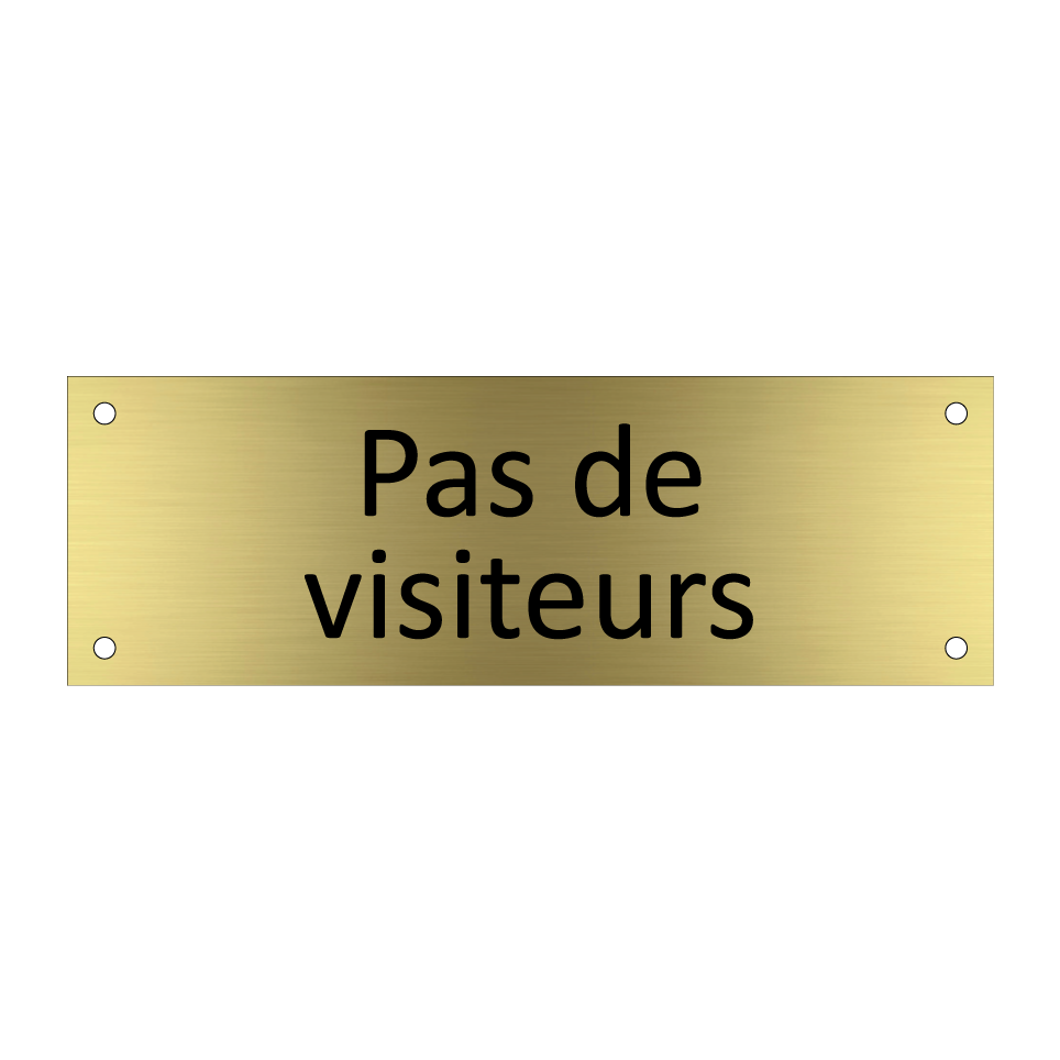 Pas de visiteurs