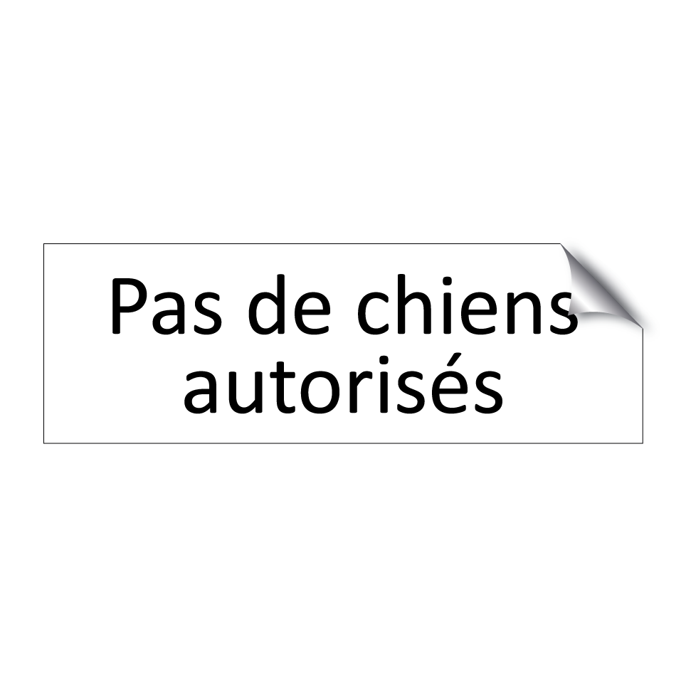 Pas de chiens autorisés