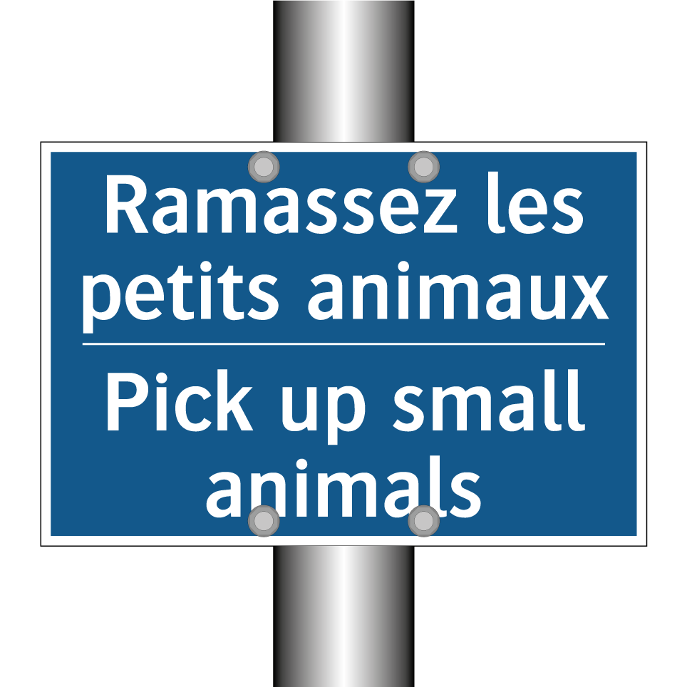 Ramassez les petits animaux - Pick up small animals