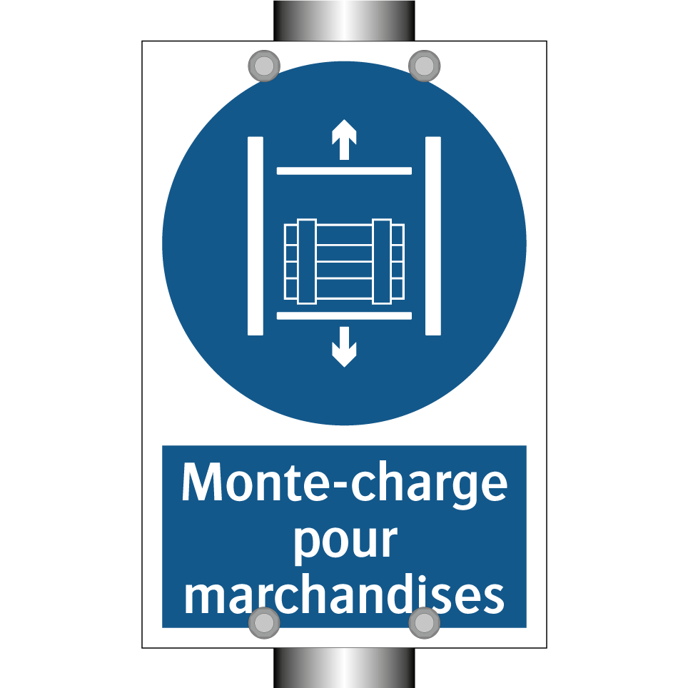 Monte-charge pour marchandises
