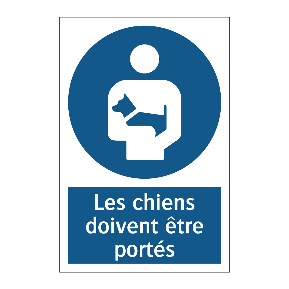 Les chiens doivent être portés