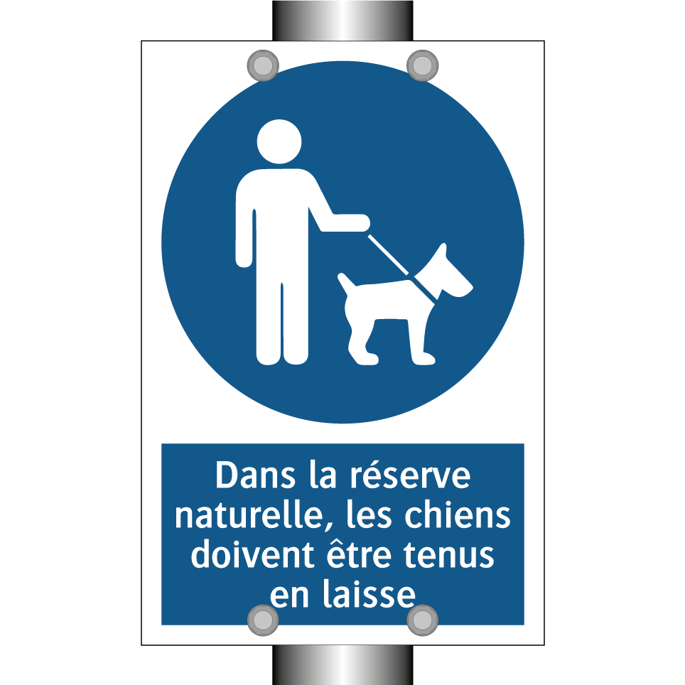 Dans la réserve naturelle, les chiens doivent être tenus en laisse