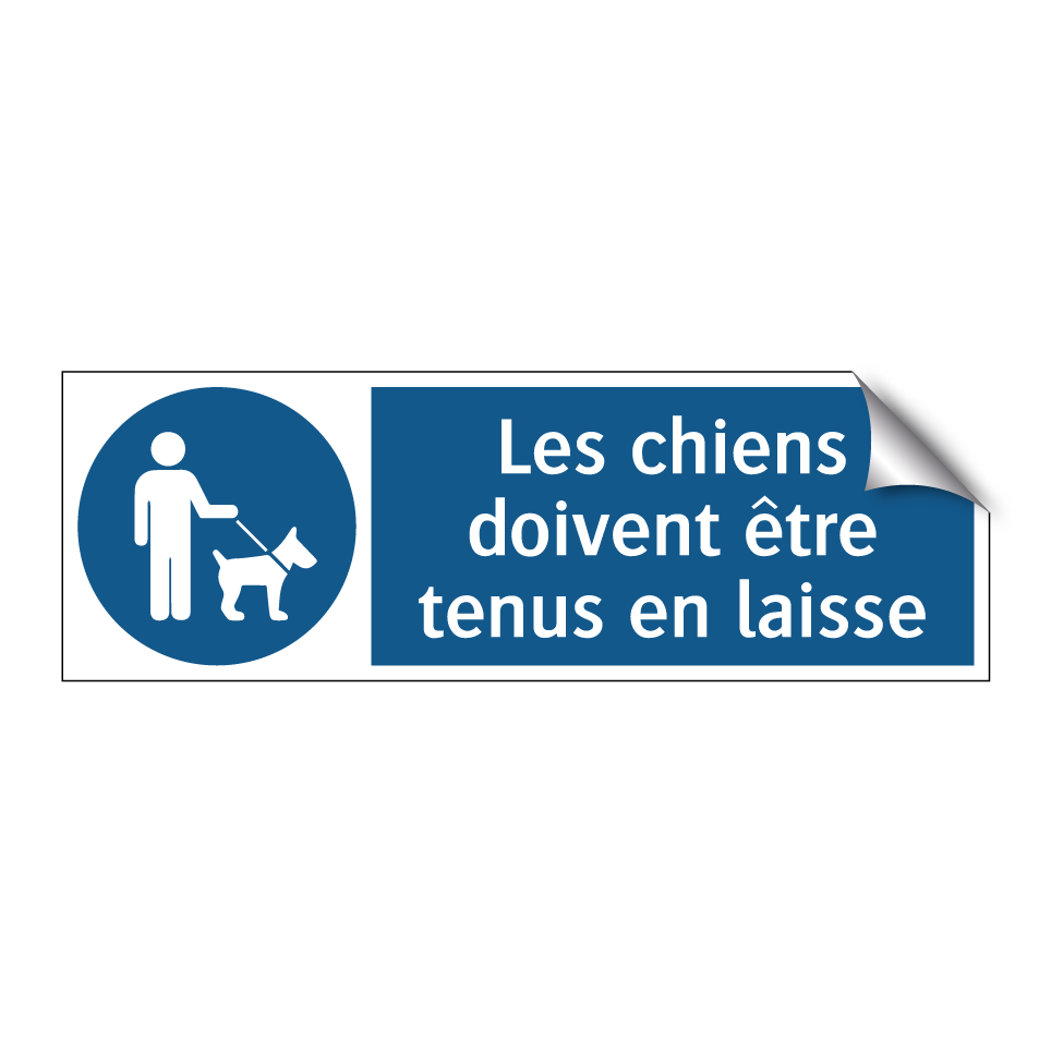Les chiens doivent être tenus en laisse