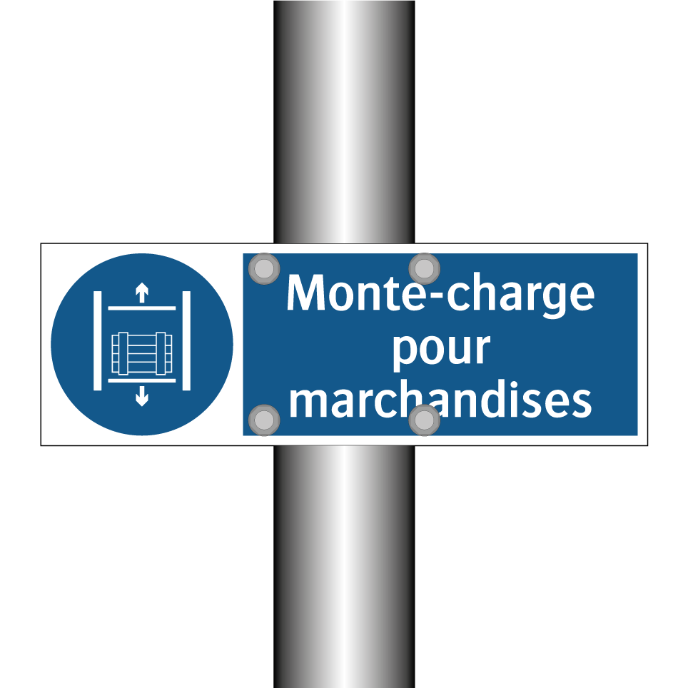 Monte-charge pour marchandises