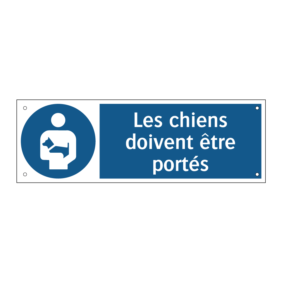 Les chiens doivent être portés