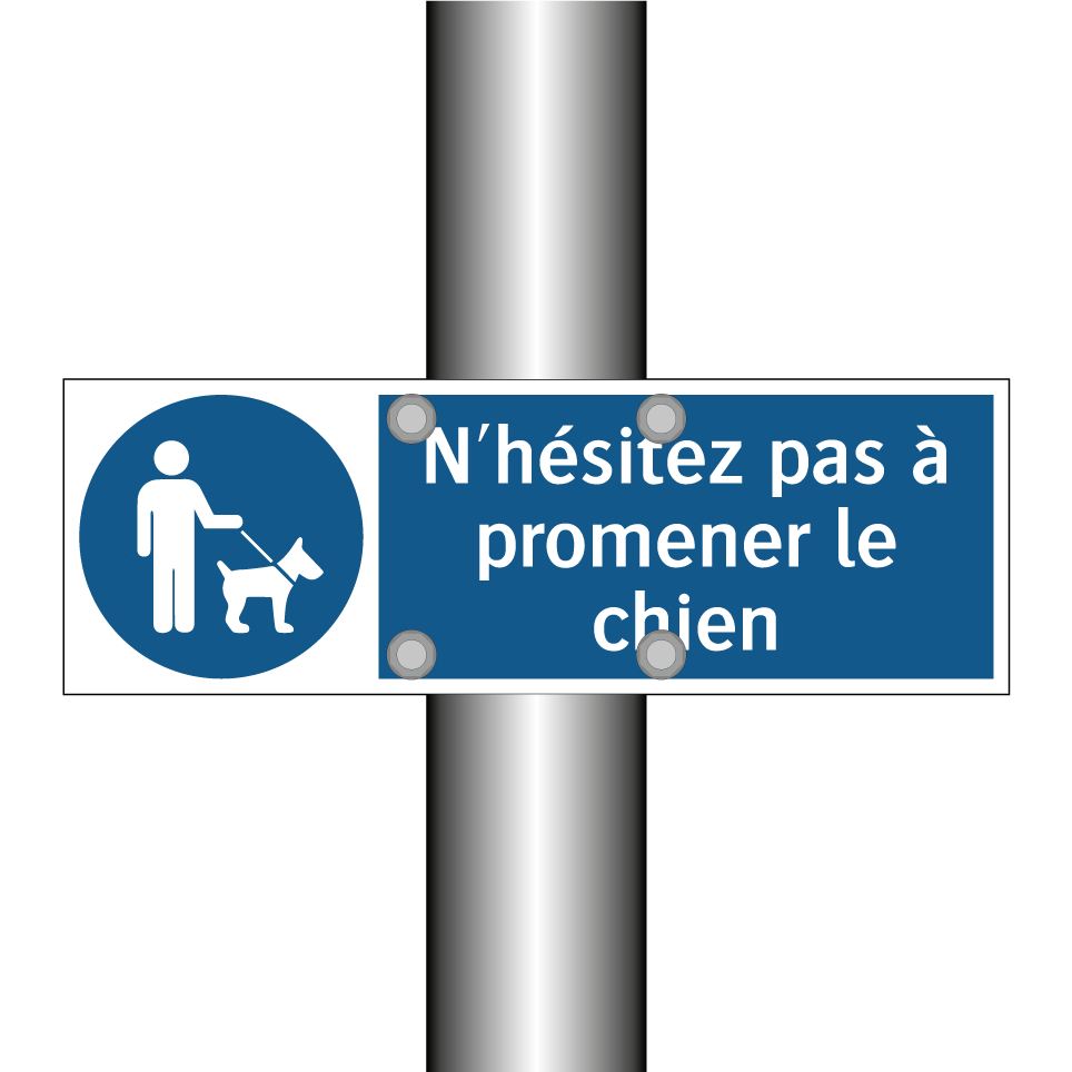 N'hésitez pas à promener le chien