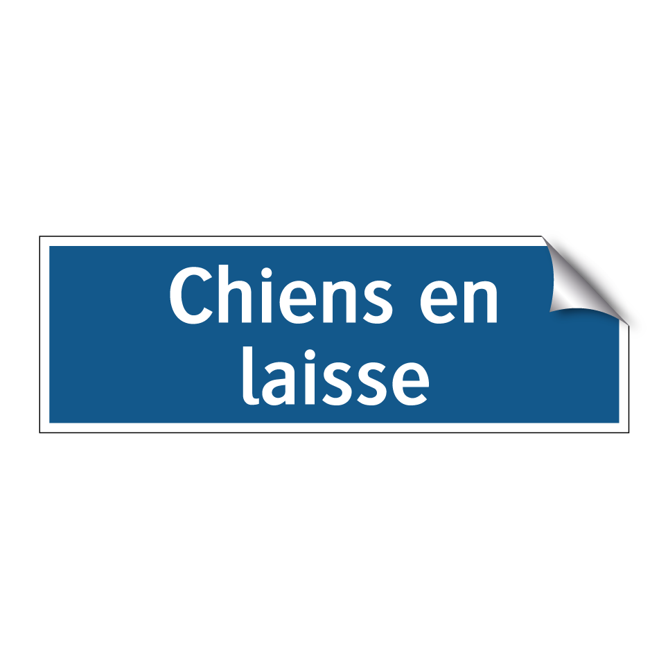 Chiens en laisse
