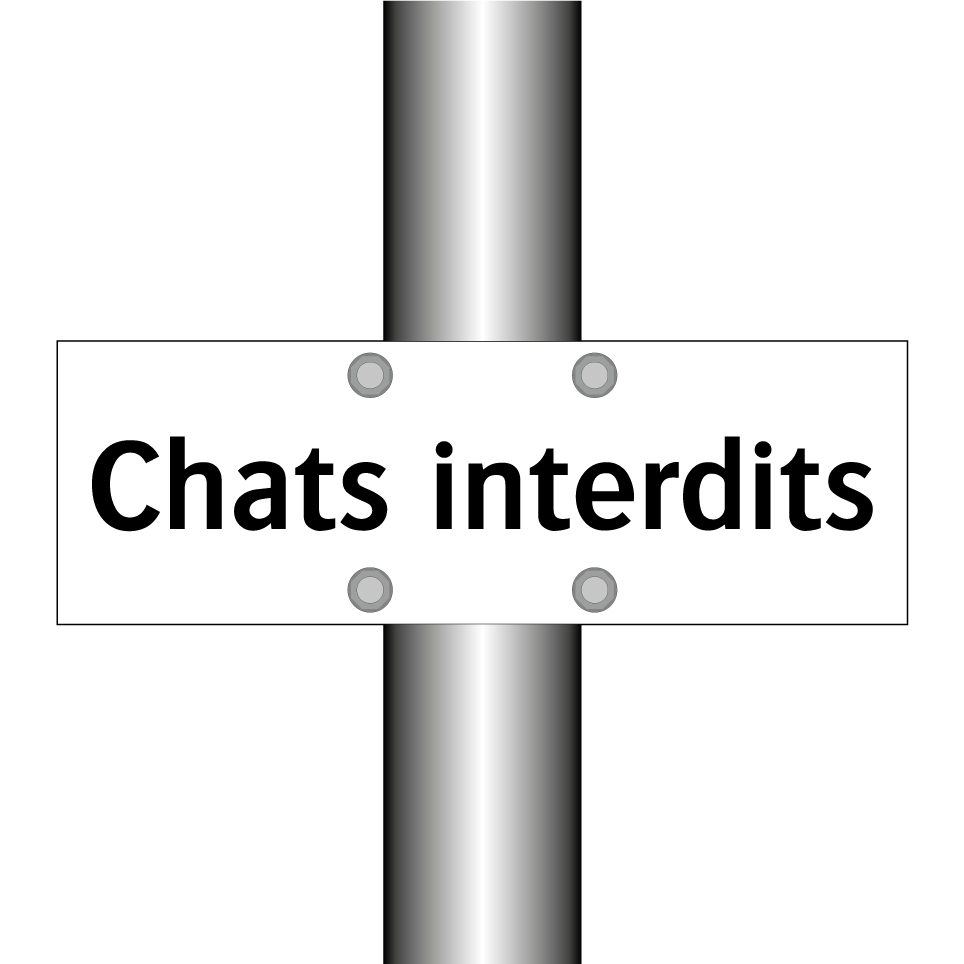 Chats interdits