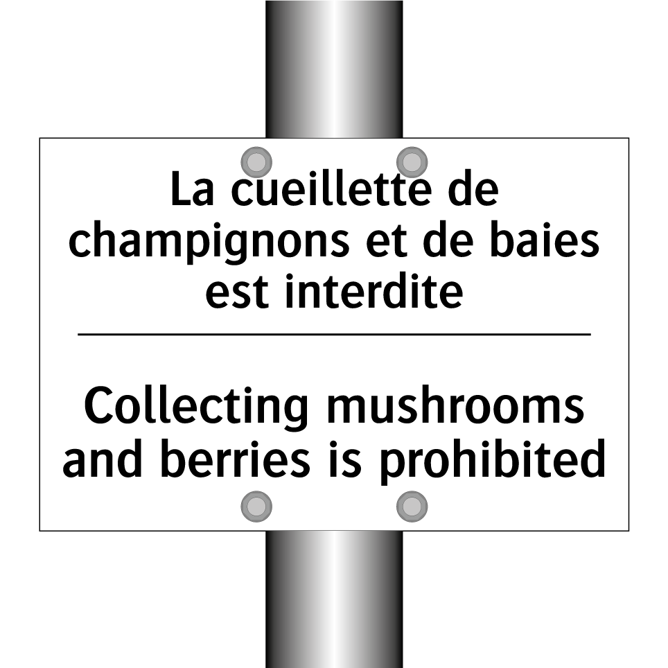 La cueillette de champignons et  /.../ - Collecting mushrooms and berries  /.../