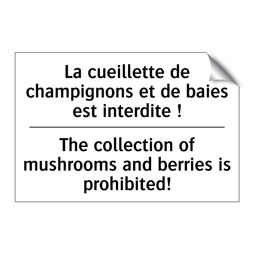 La cueillette de champignons et  /.../ - The collection of mushrooms and  /.../