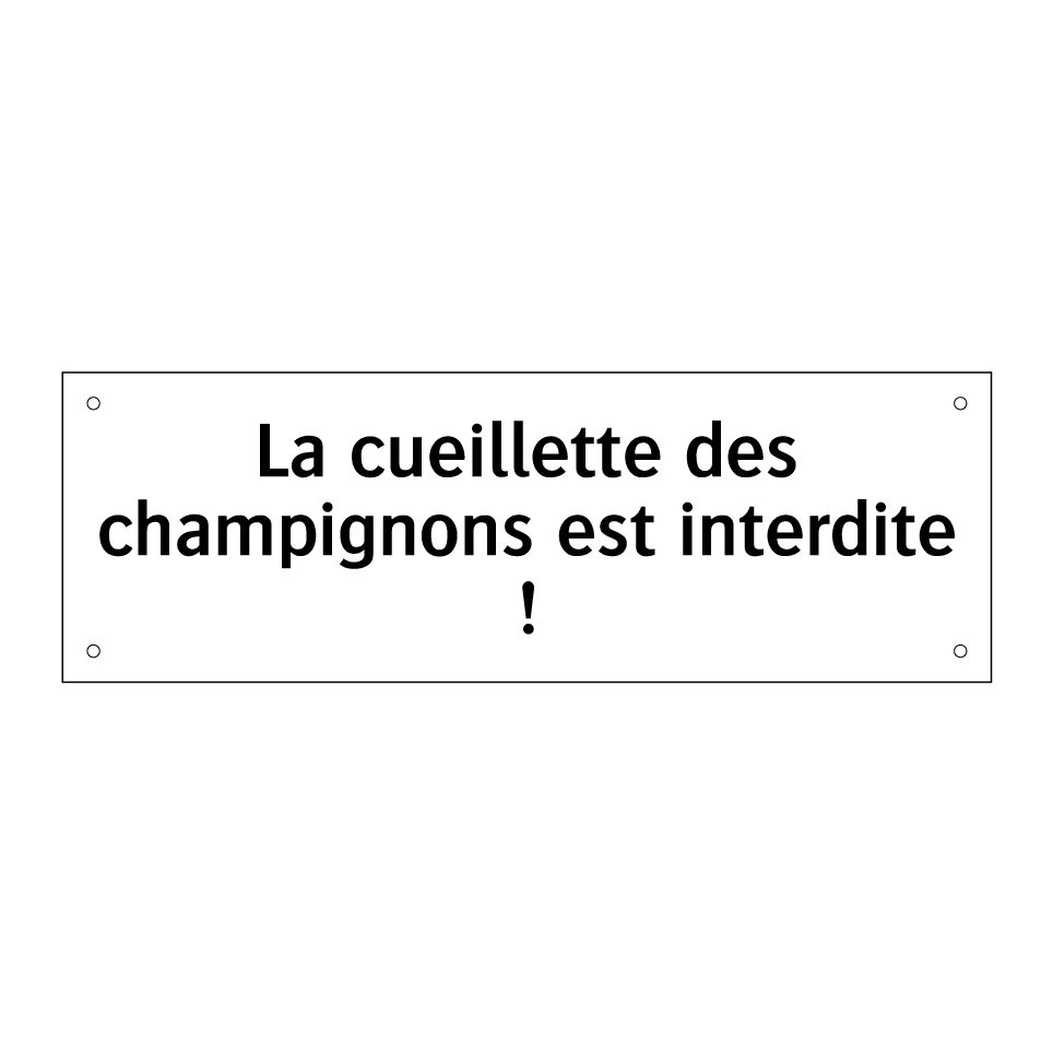 La cueillette des champignons est interdite !
