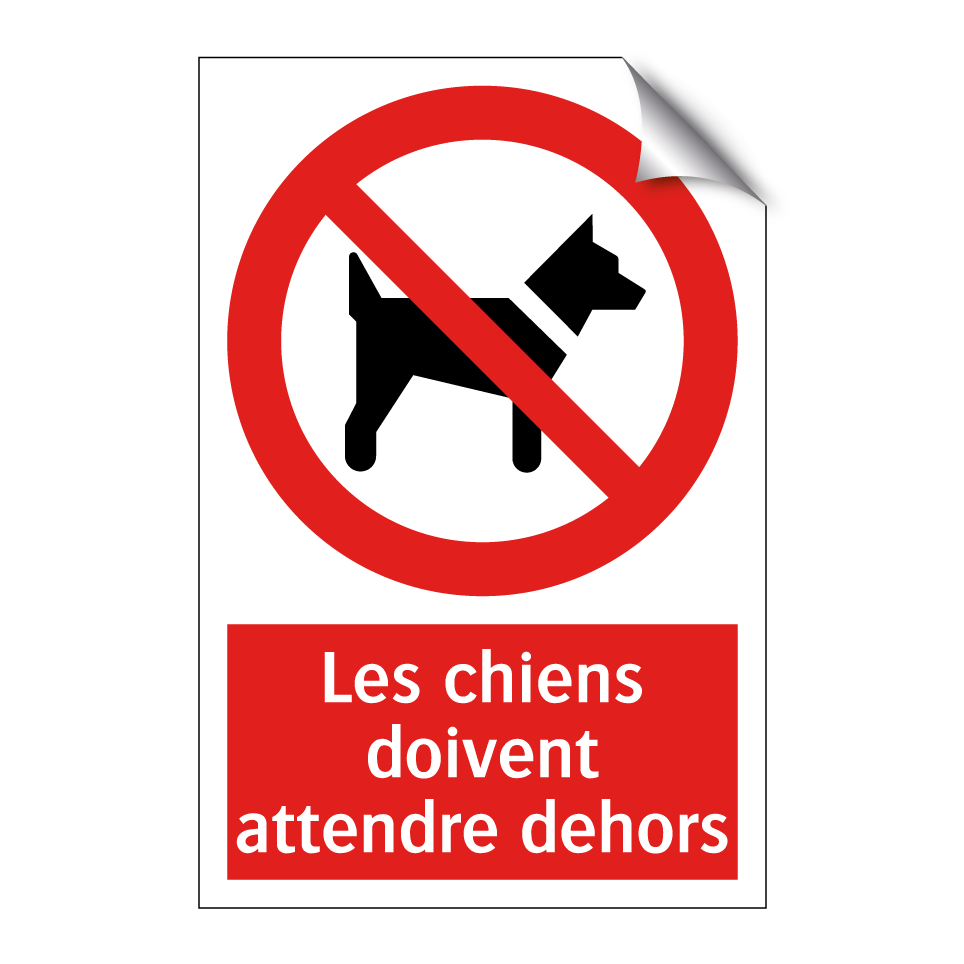 Les chiens doivent attendre dehors