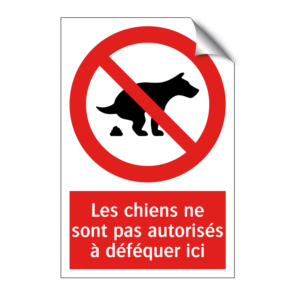 Les chiens ne sont pas autorisés à déféquer ici