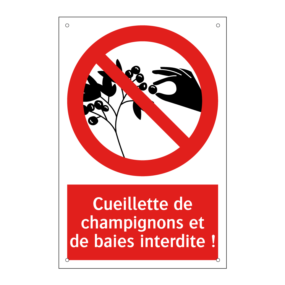 Cueillette de champignons et de baies interdite !