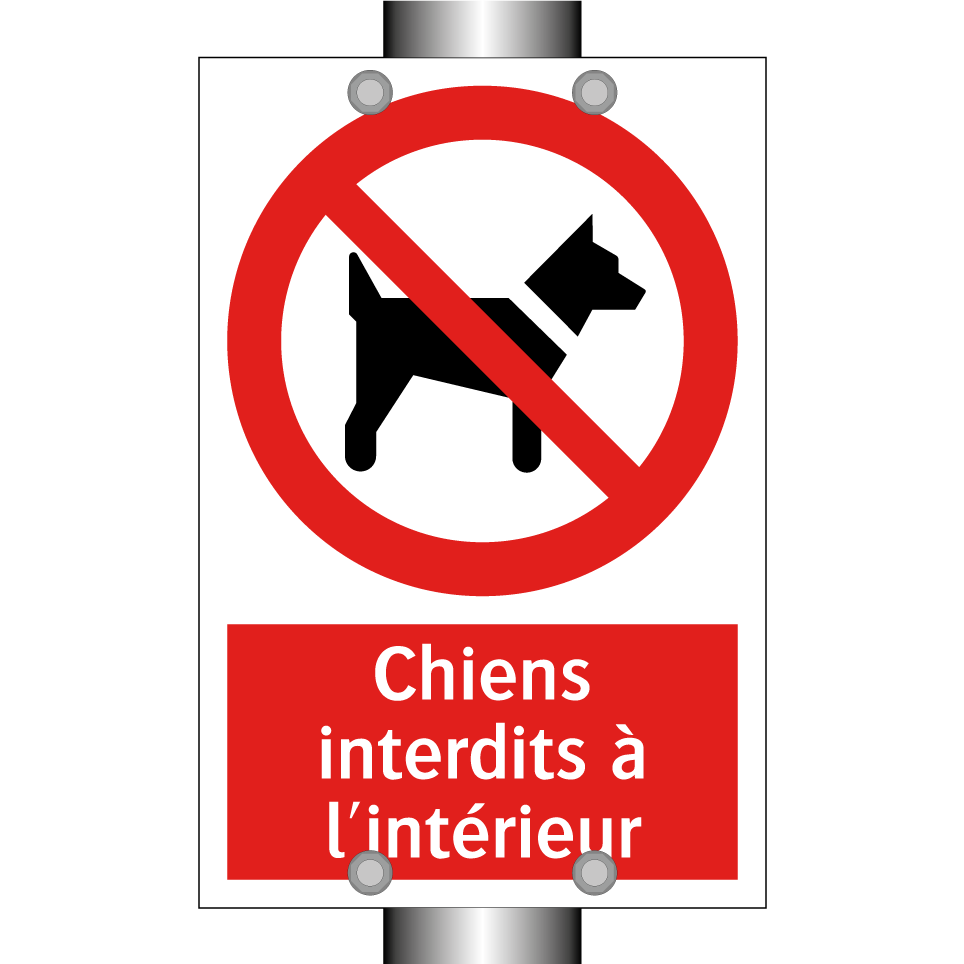 Chiens interdits à l'intérieur