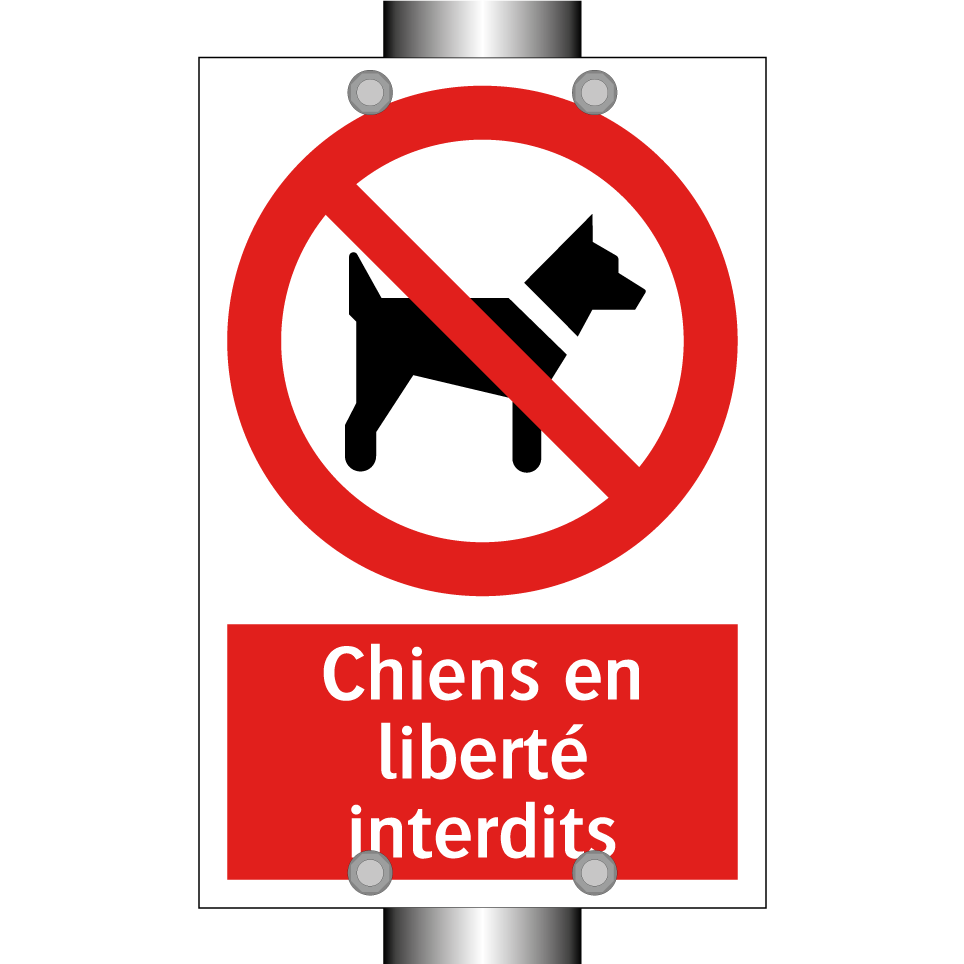 Chiens en liberté interdits