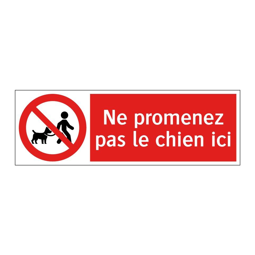 Ne promenez pas le chien ici