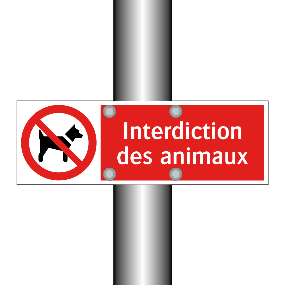Interdiction des animaux