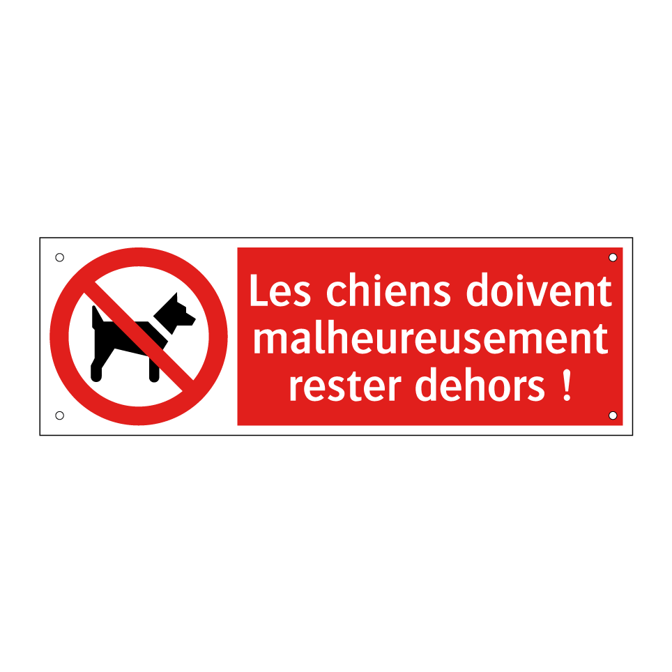 Les chiens doivent malheureusement rester dehors !