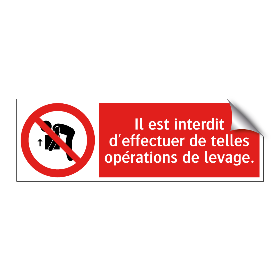 Il est interdit d'effectuer de telles opérations de levage.