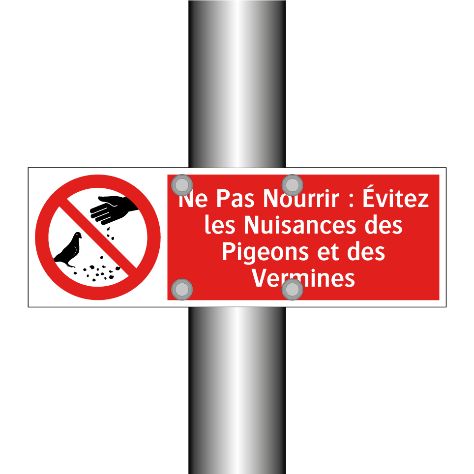 Ne Pas Nourrir : Évitez les Nuisances des Pigeons et des Vermines