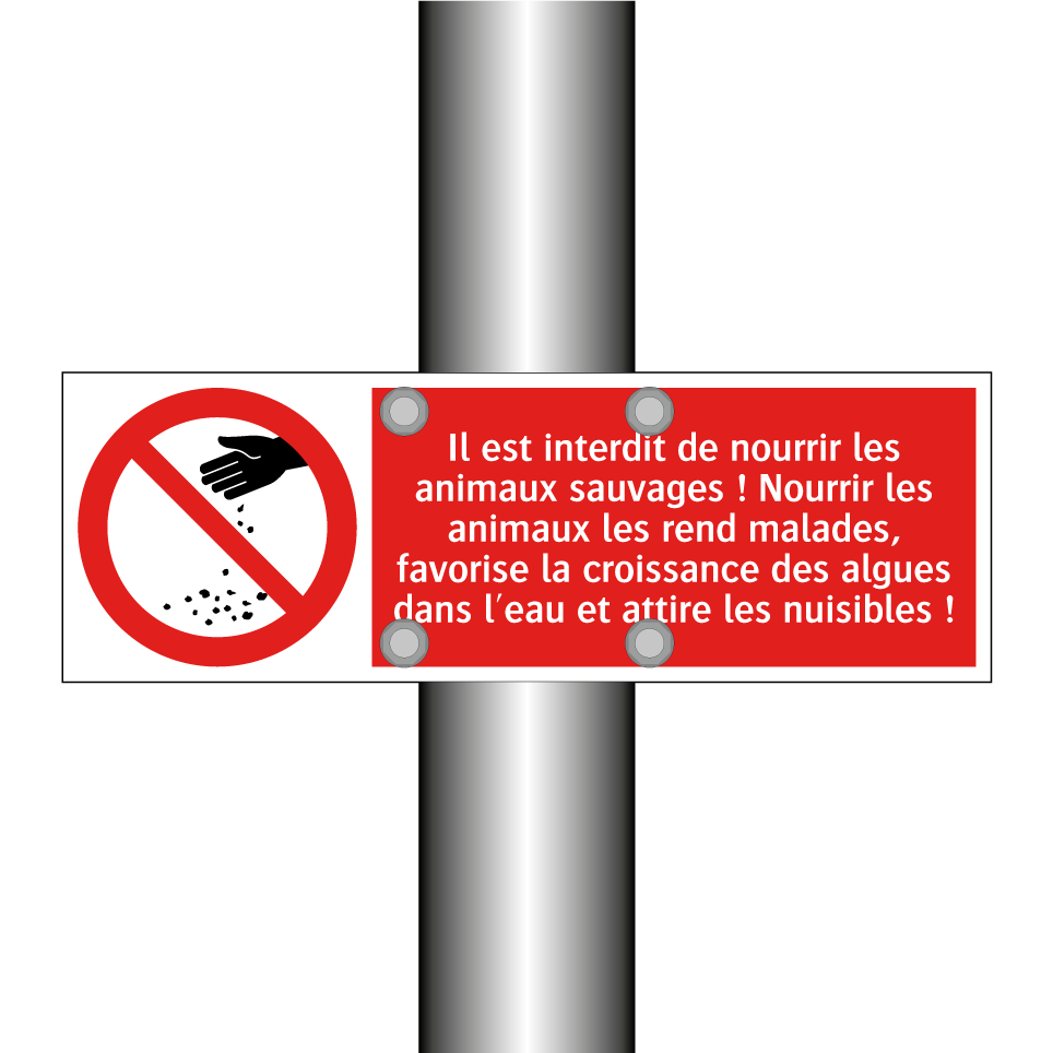 Il est interdit de nourrir les animaux sauvages ! Nourrir les animaux les rend malades, favorise la croissance des algues dans l'eau et attire les nuisibles !