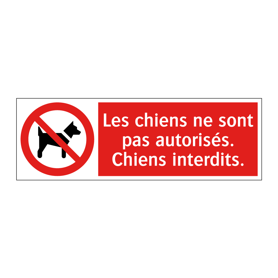 Les chiens ne sont pas autorisés. Chiens interdits.