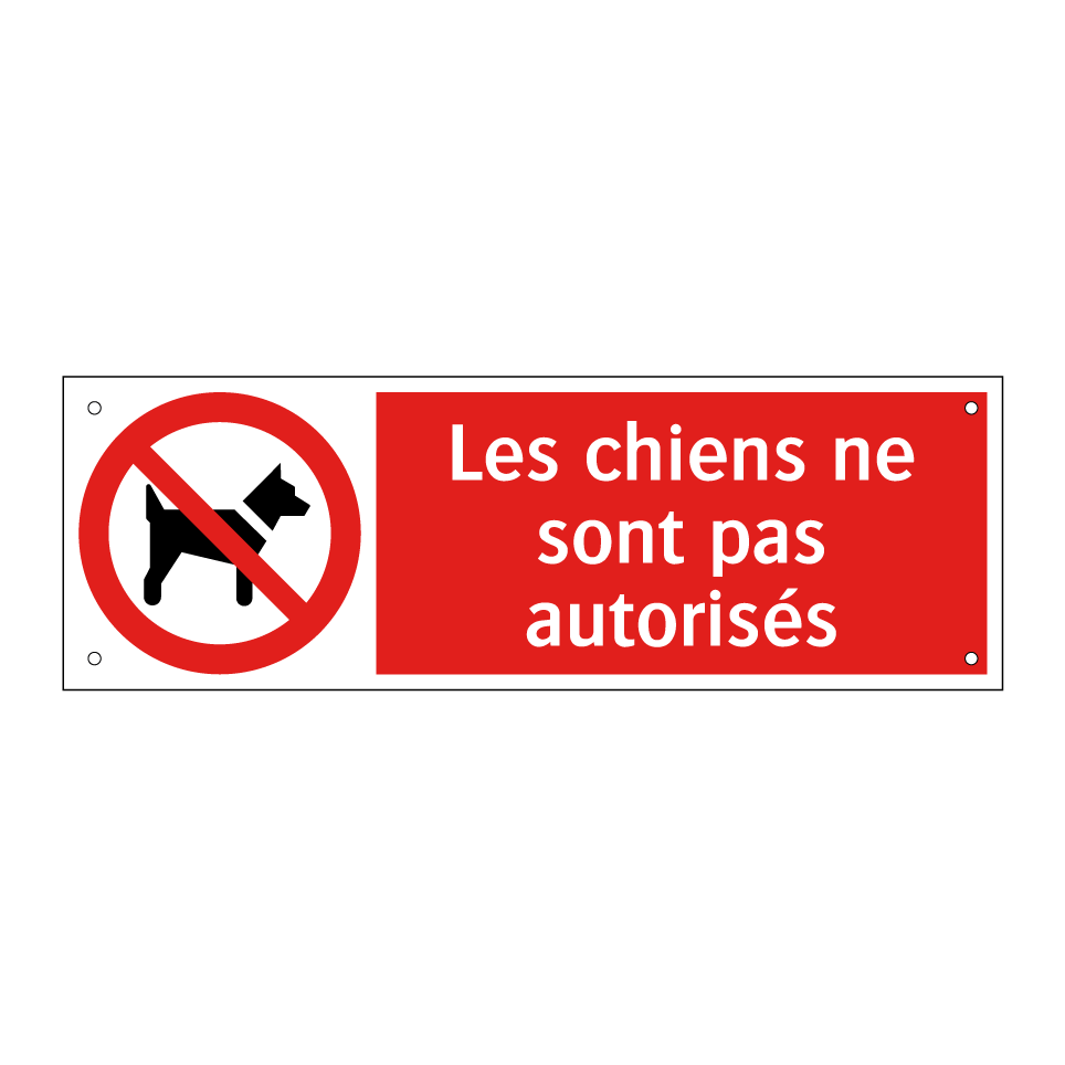Les chiens ne sont pas autorisés