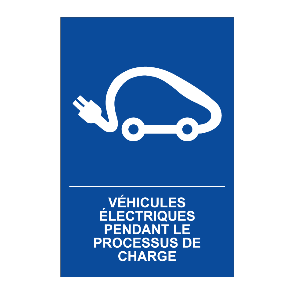 Véhicules électriques pendant le processus de charge