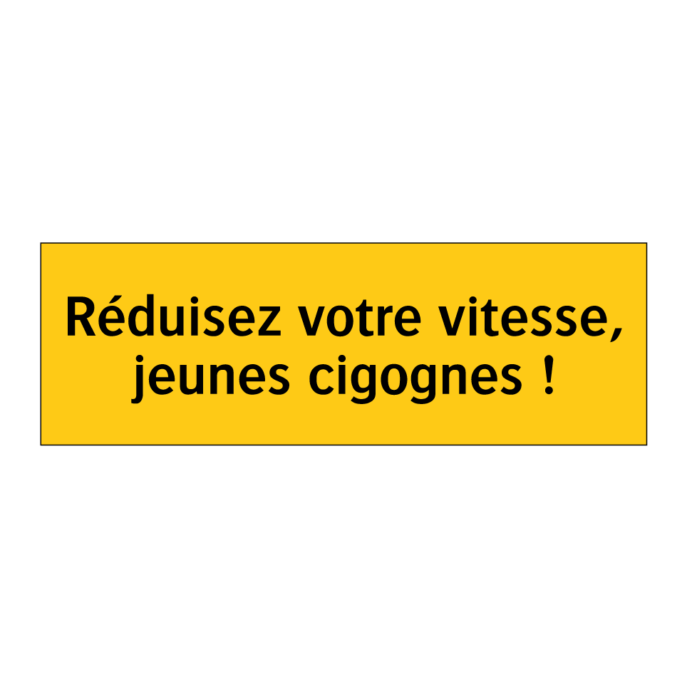 Réduisez votre vitesse, jeunes cigognes !